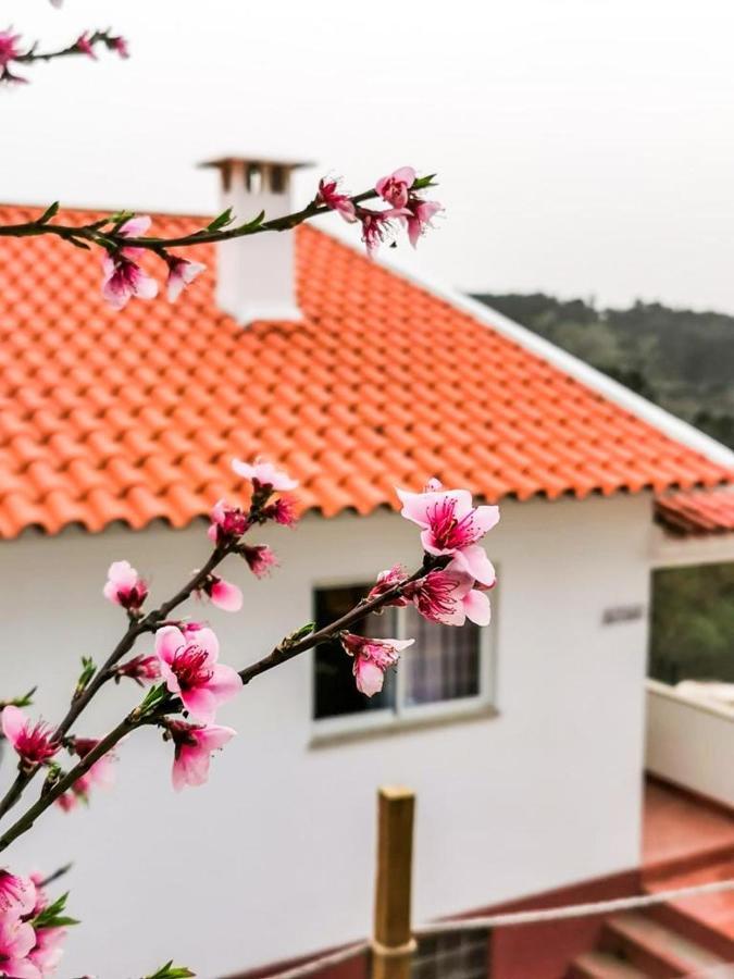Villa O Refugio à Coïmbre Extérieur photo